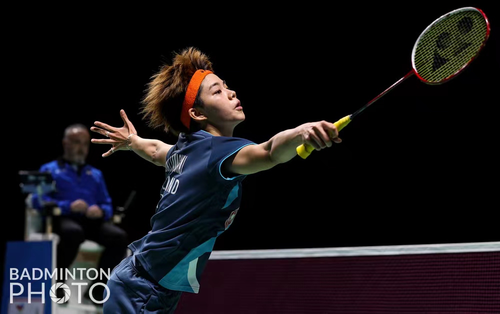 预计会给他 预计会给他